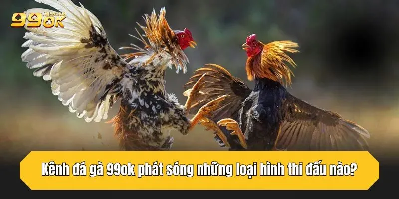 Đá Gà 99OK - Nền Tảng Đá Gà Trực Tuyến Uy Tín Tại Châu Á 4 Kênh đá gà 99OK phát sóng những loại hình thi đấu nào?